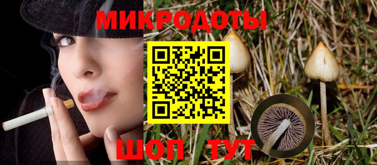Галлюциногенные грибы GOLDEN TEACHER Тольятти