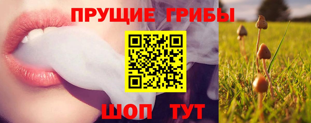 Псилоцибиновые грибы мицелий  Галлюциногенные грибы GOLDEN TEACHER  Вход с VPN  Тольятти 
