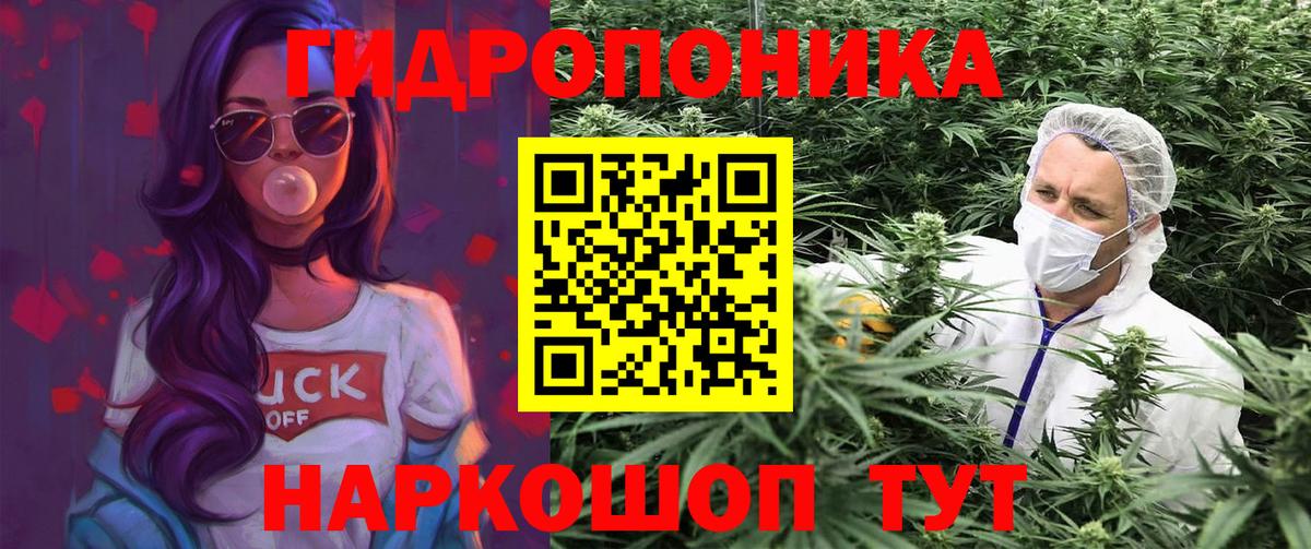 Тольятти  Шишки марихуана семена  Бошки марихуана AK-47  Конопля SATIVA & INDICA  Вход с VPN 